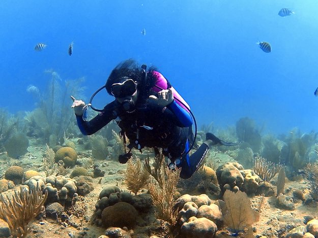 Rosanna Diving Sosua / Dominican Republic