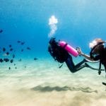 Diving Sosua Bay