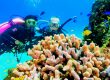 Scuba Diving Sosua