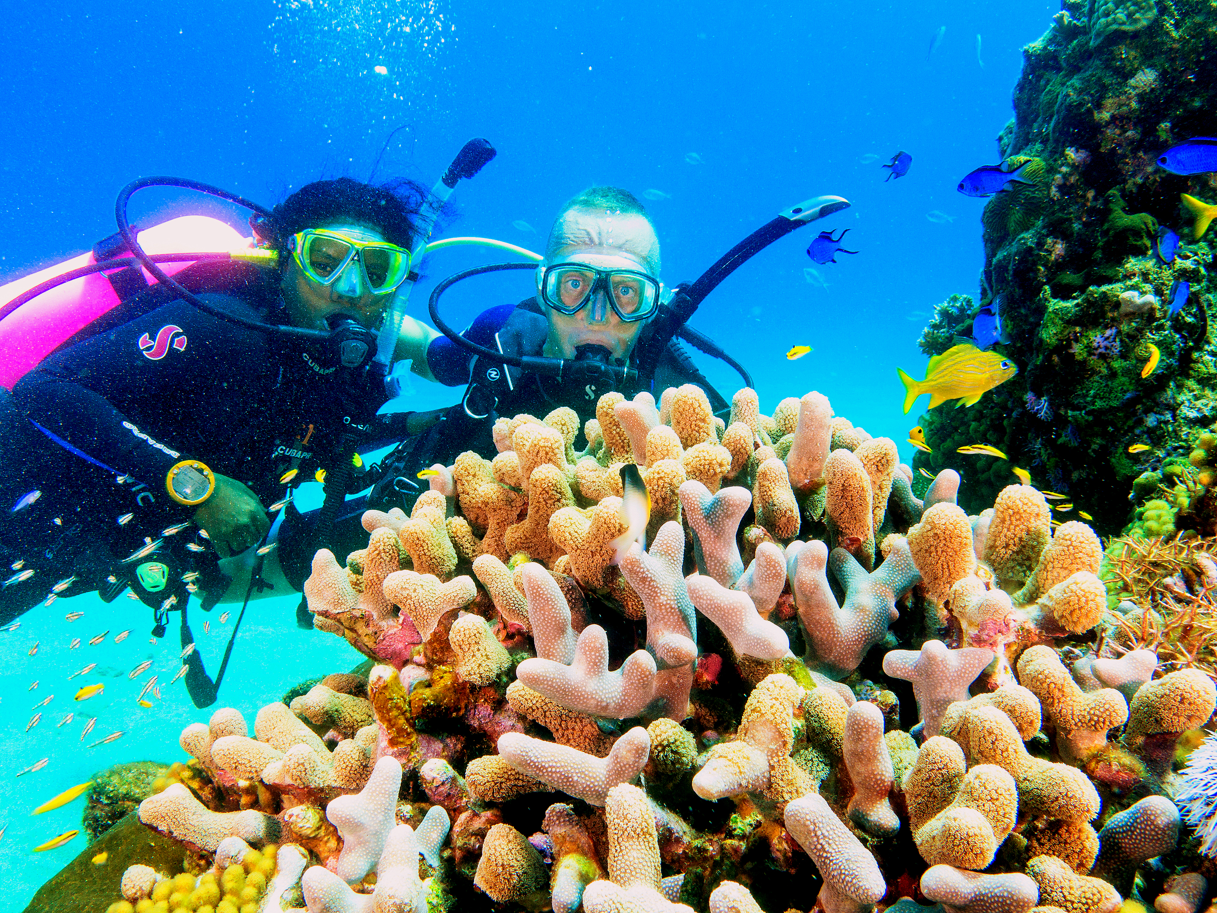 Scuba Diving / Superior Dive Sosua Scuba Diving Sosua