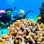 Scuba Diving Sosua