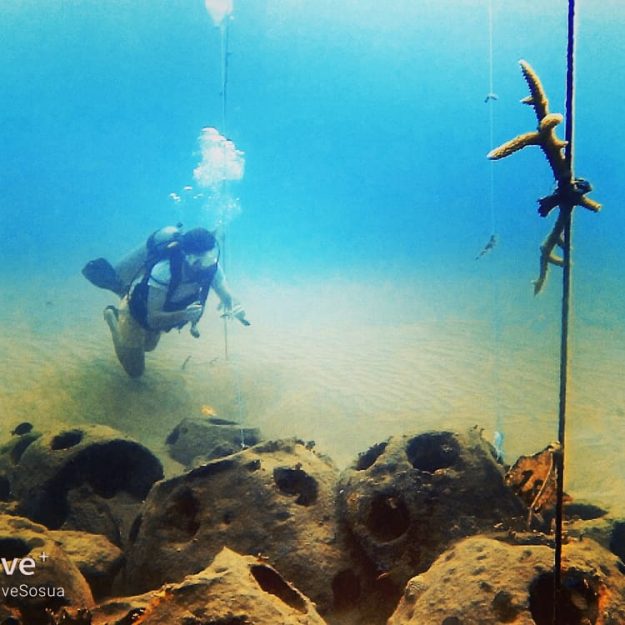 Coral Restoration / Sosua / Dominican Republic