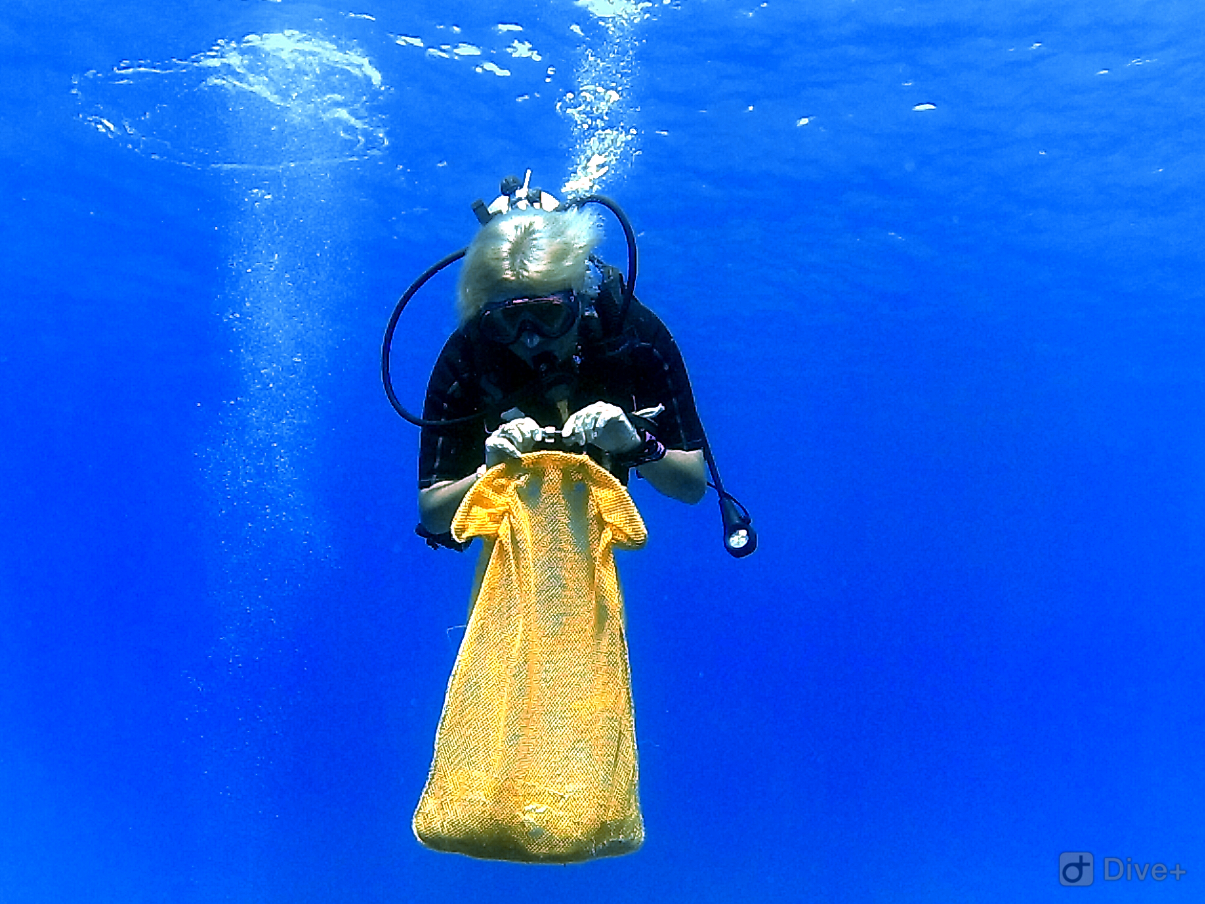 tracycleanup