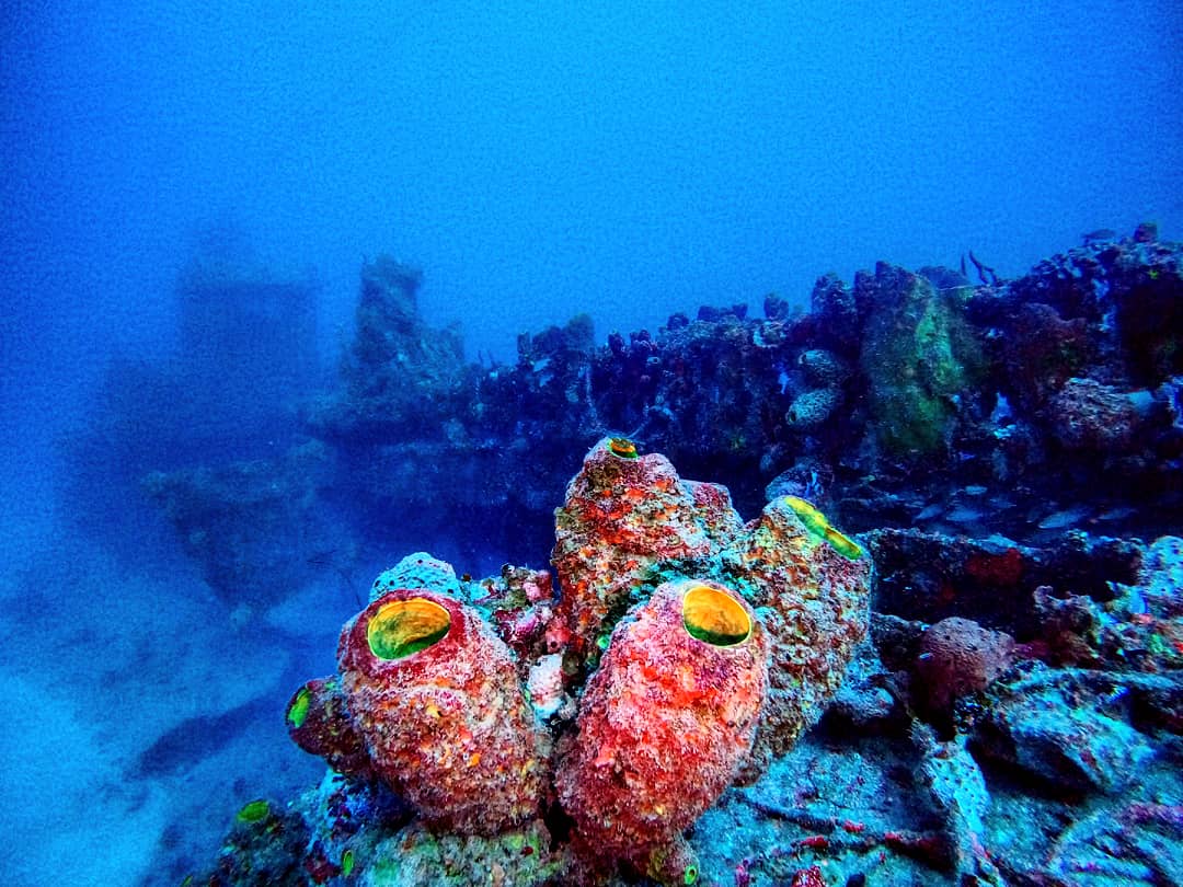 Diving in the Dominican Republic The Dive Sites of Sosua Bay