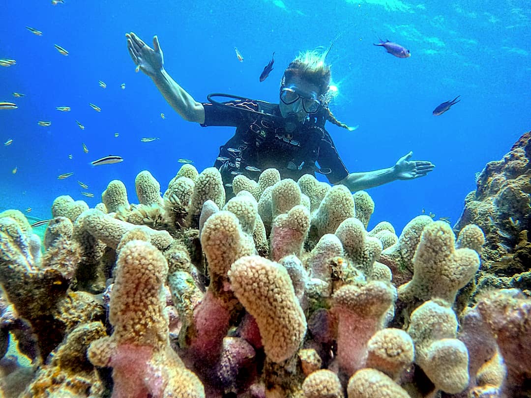 Diver beside coral in Sosua Bay